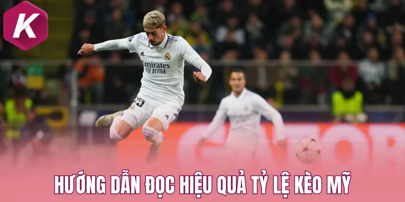 Hướng dẫn đọc hiệu quả tỷ lệ kèo Mỹ