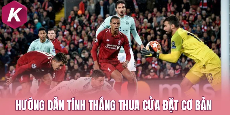 Hướng dẫn tính thắng thua cửa đặt cơ bản ở tỷ lệ kèo Mỹ