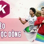 Cẩm nang soi kèo cược lội ngược dòng